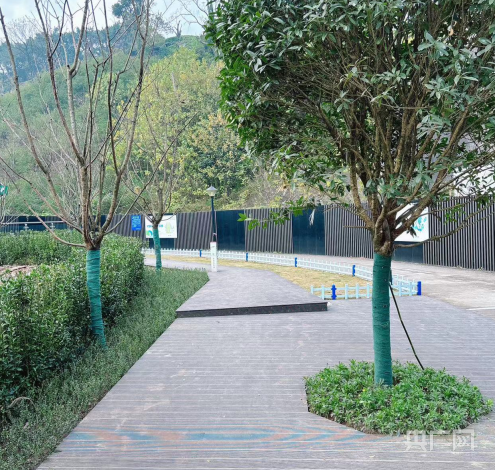 重庆2024年将提升15个轨道站步行便捷性