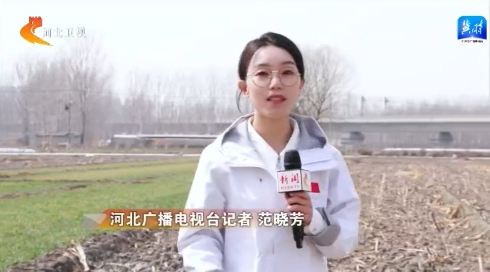 【撸起袖子加油干风雨无阻向前行】河北：交通项目建设春潮涌动全年计划完成基础设施投资1100亿元