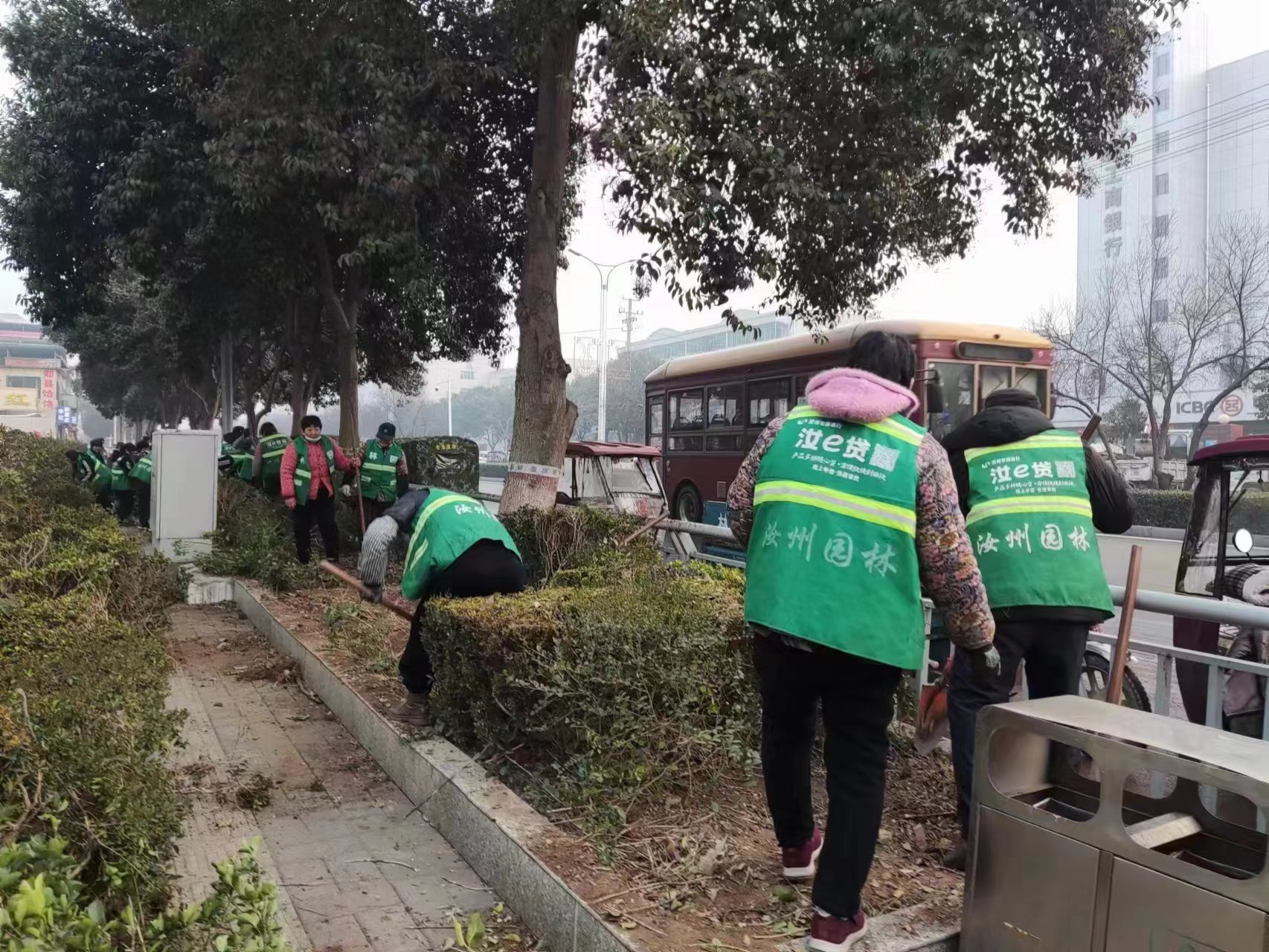汝州市城市管理局：闹市区护栏内侧绿化带“消失”？原来(图3)