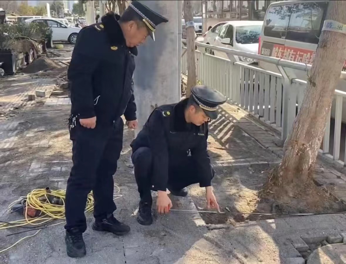 汝州市城市管理局：闹市区护栏内侧绿化带“消失”？原来(图4)