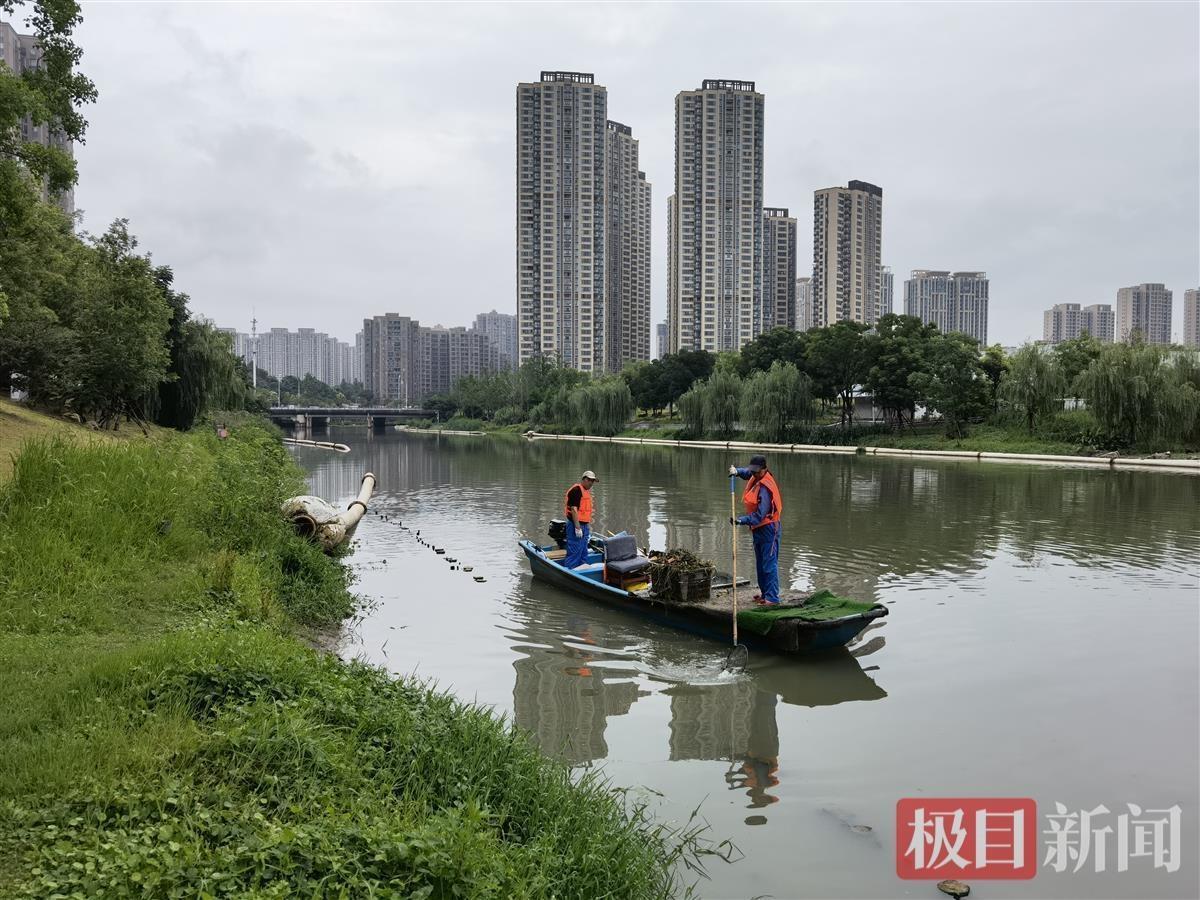 实施“十大工程”提升城市环境品质打造宜居宜业、宜商宜游的美武汉今年新改建10座公园增加105公里绿道(图10)
