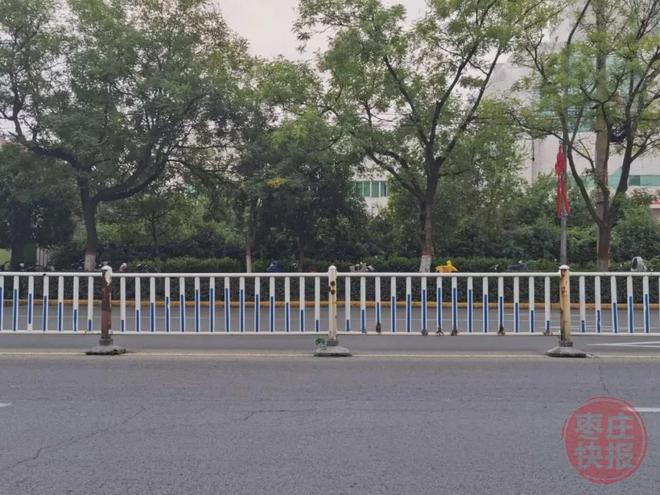 枣庄市中区这几条路段的护栏上“新”啦！以崭新面貌庆国庆(图4)