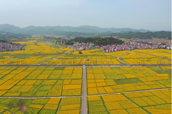 株洲：聚焦高质量发展构建“内畅外联”综合交通运输体系(图3)