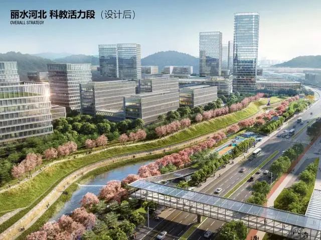 深新早点｜地下四层空间！滨海大道下沉隧道通车时间……(图6)
