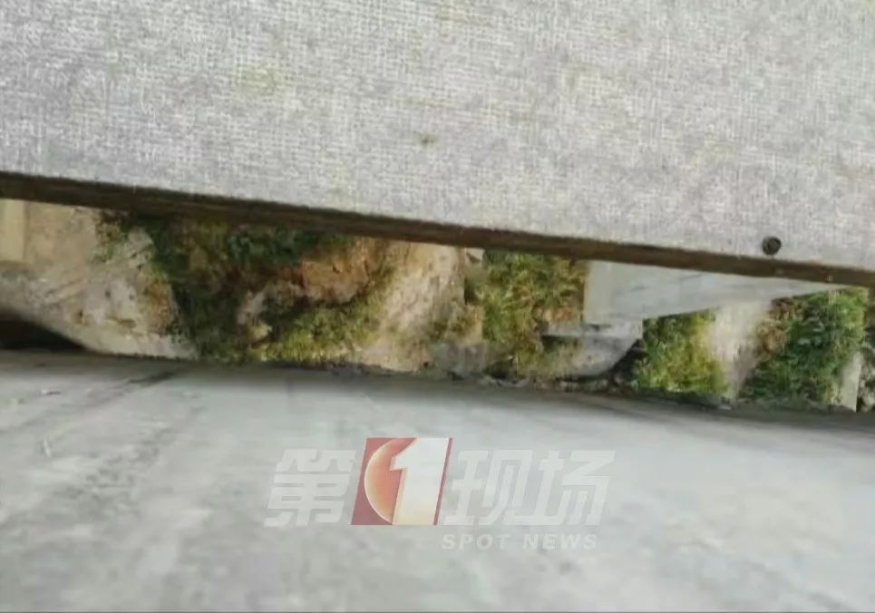 读城｜钟南山：新型冠状病毒感染的肺炎疫情呈现人传人特点14个医护人员感染｜痛心！广东一高速上3人翻越高架桥护栏坠亡(图7)