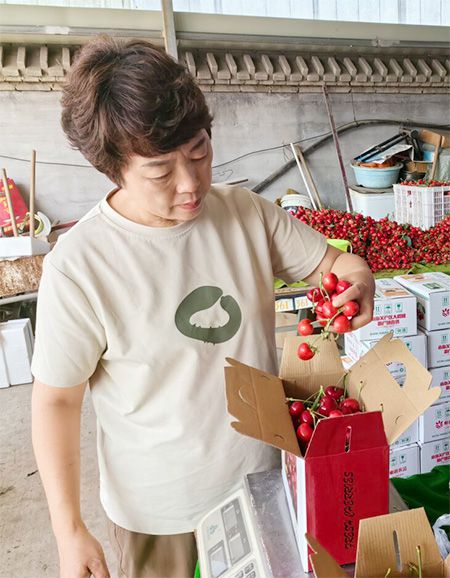 秦皇岛：交通线变风景线产业线(图2)