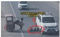 带孩上路要看管提防孩子乱跑窜【农村交通安全知识系列手册】(图2)