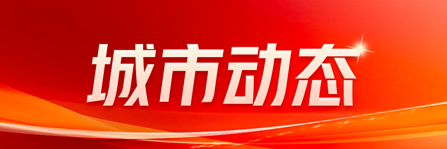 苗江路“夜骑族”乱象再现护栏能否拦住危险？