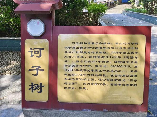暑气腾腾来番禺打卡百年古树city不city啊？(图19)
