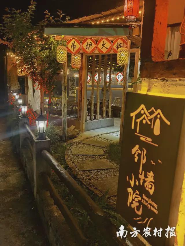小庭院变大宝仓！廉江市携手融水县共绘新篇(图4)