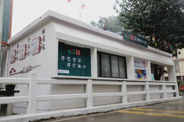 小庭院变大宝仓！廉江市携手融水县共绘新篇(图5)