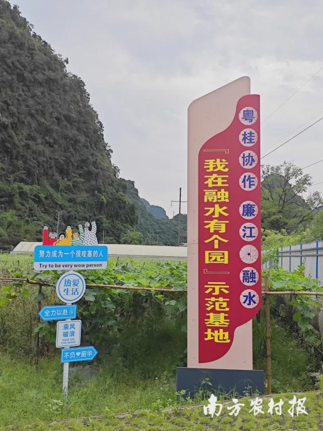 小庭院变大宝仓！廉江市携手融水县共绘新篇