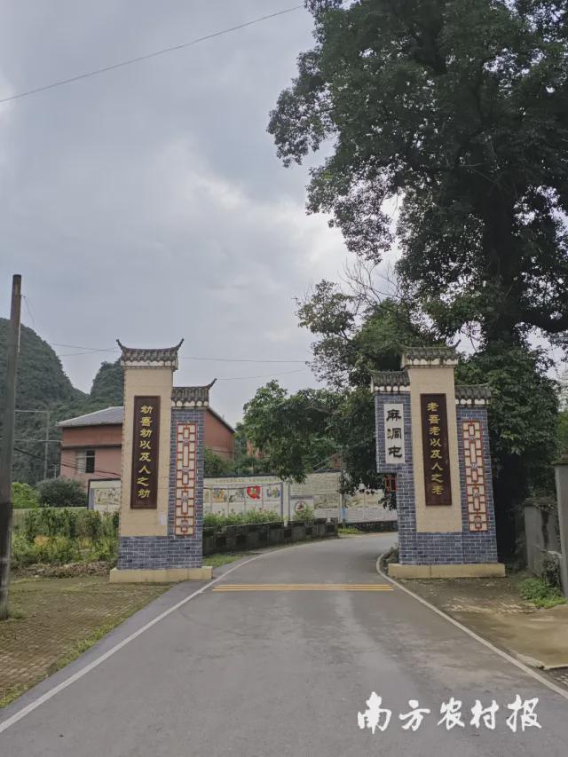小庭院变大宝仓！廉江市携手融水县共绘新篇(图3)