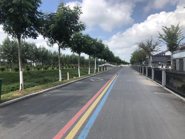 新安镇：建设“四好农村路”织就乡村“幸福网”