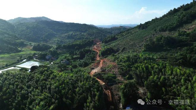 国道G228线福鼎佳阳双华至象洋段项目加快全线清表！