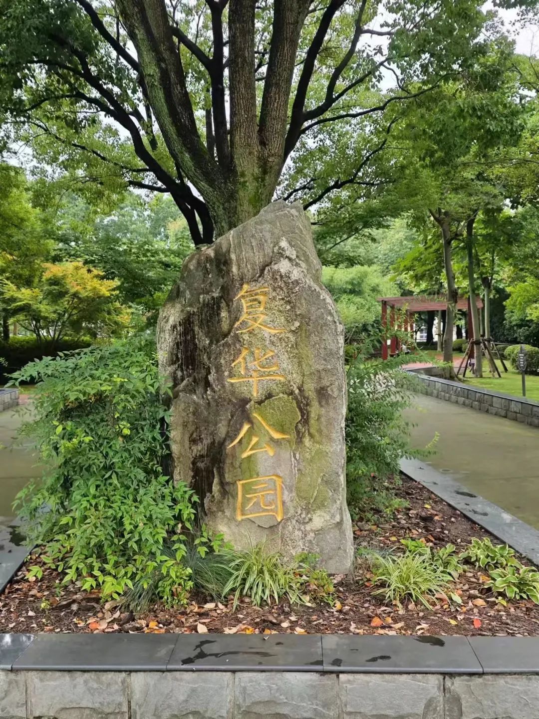时而金黄灿烂时而火红热烈！嘉定这2座特色公园你去过吗？
