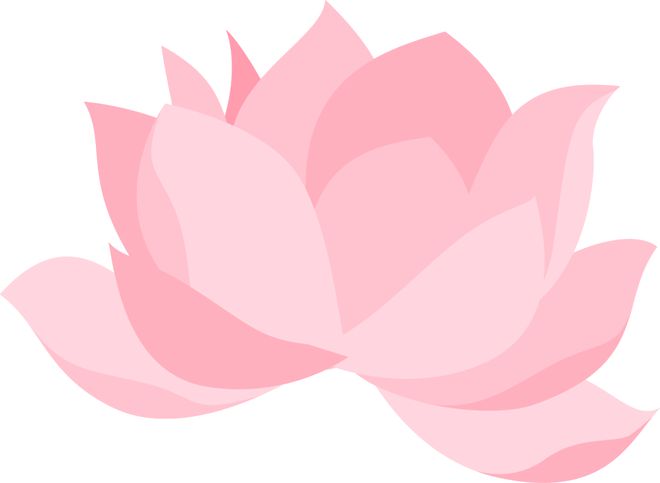 辽宁省博物馆发布重要通知！