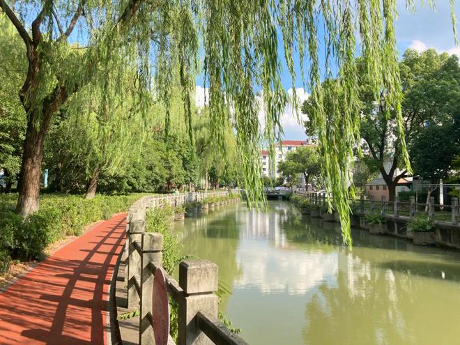 绿意葱茏、生机盎然~嘉定这3座特色公园你去过吗？(图4)