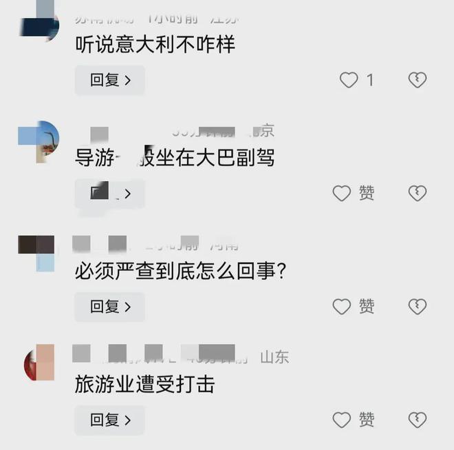 中国导游在意大利车祸身亡！护栏刺穿车头15名伤者均是中国游客(图2)
