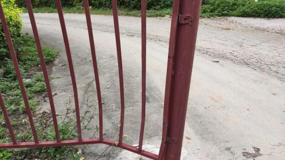 男子开车躲小狗撞上护栏！10小时后报警却因骗保被抓！