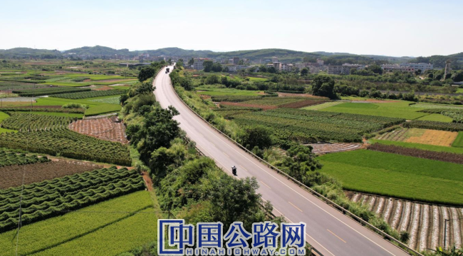 小护栏守护大安全：完善省道311线安全防护栏为农村交通加码（图）