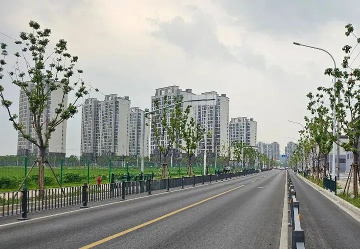 道路安全新升级！嘉定这些路段新增护栏