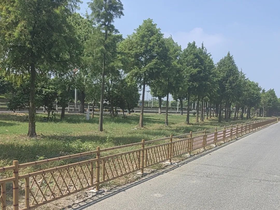 道路安全新升级！嘉定这些路段新增护栏(图2)