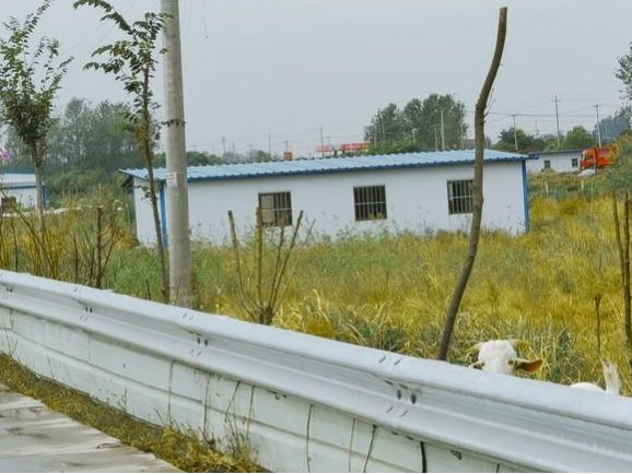 公路波形护栏：保障安全的坚固防线(图3)