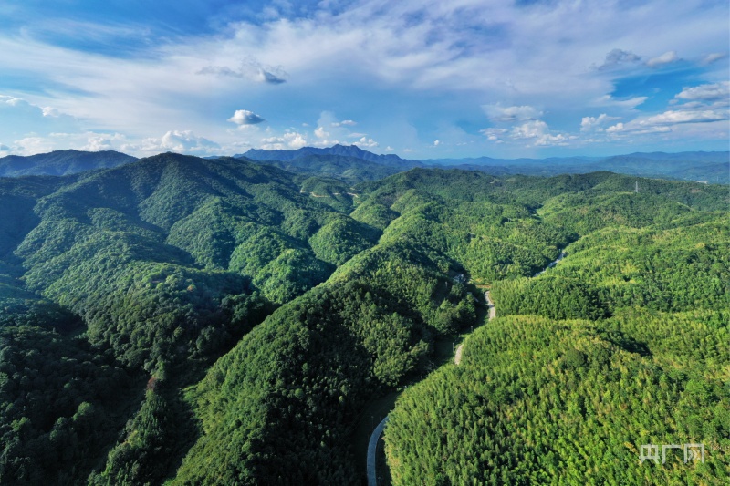 醉绿岭南大美画卷丨让大自然做最好的老师广东自然教育何以成为全国标杆？
