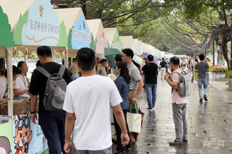 醉绿岭南大美画卷丨让大自然做最好的老师广东自然教育何以成为全国标杆？(图7)