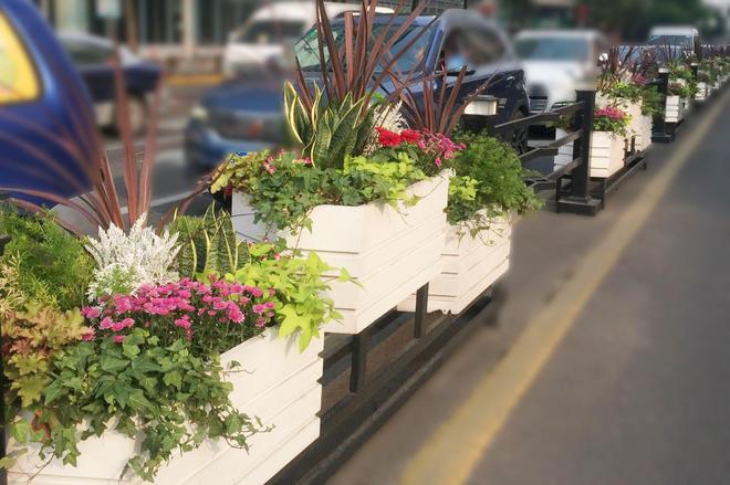 道路上的隔离花箱护栏引领城市绿化的新风潮