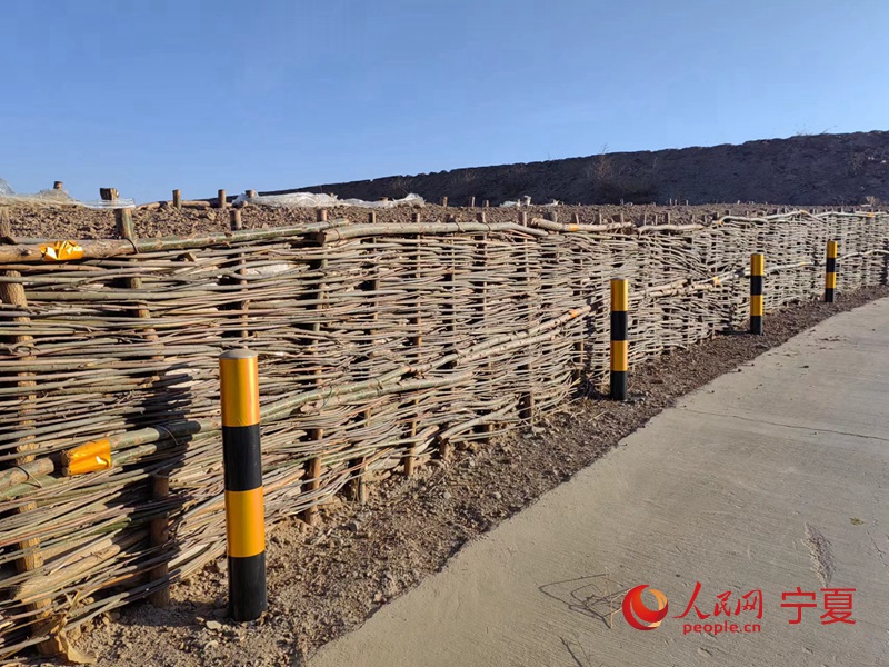 用柳树桩做的农村公路防护墙为何获得省部级领导点赞