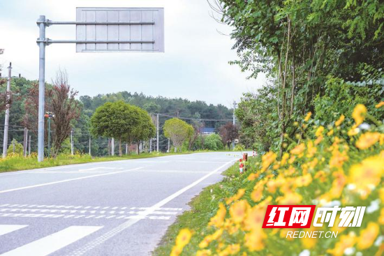 组图沿着公路看星沙千里通衢接芳草(图2)