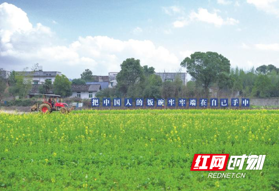 组图沿着公路看星沙千里通衢接芳草(图6)