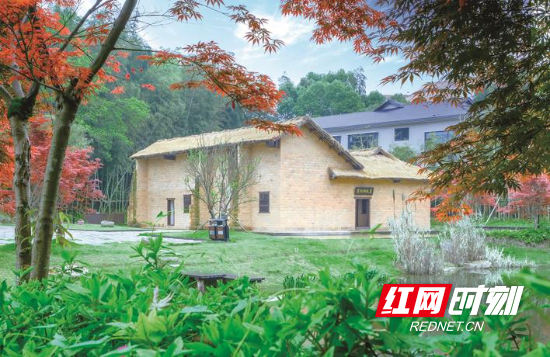 组图沿着公路看星沙千里通衢接芳草(图7)