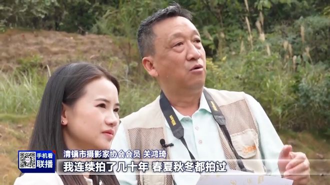 贵阳记忆丨红枫湖“三桥”跨碧波交通网“脊梁”(图2)