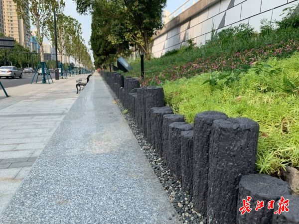 护栏、电线杆……都变黑汉口沿江大道“美黑”迎宾(图4)