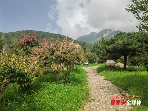 投资900余万元改造提升泰山天外村新颜迎客(图2)