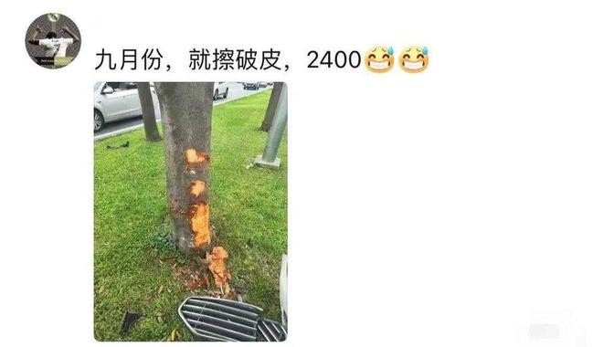 为何老司机都说宁愿撞车也不要撞交通设施到底有多贵？(图7)