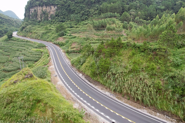 桂西公路发展中心增强交通基础设施韧性为公路系上“安全带”(图2)