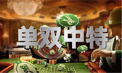 澳门精准特平码V1