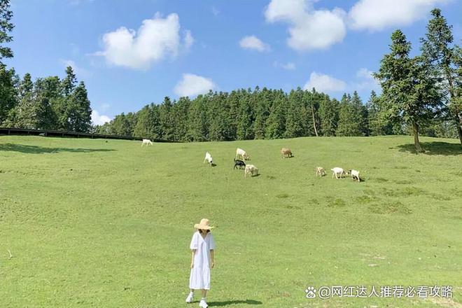 一家三口去川渝5天4晚多少钱川渝五天跟团报价费用(图2)