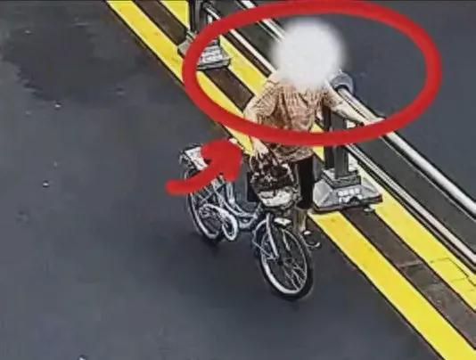 马路惊现‘大力士’大妈推倒护栏引热议安全与规则意识不容忽视