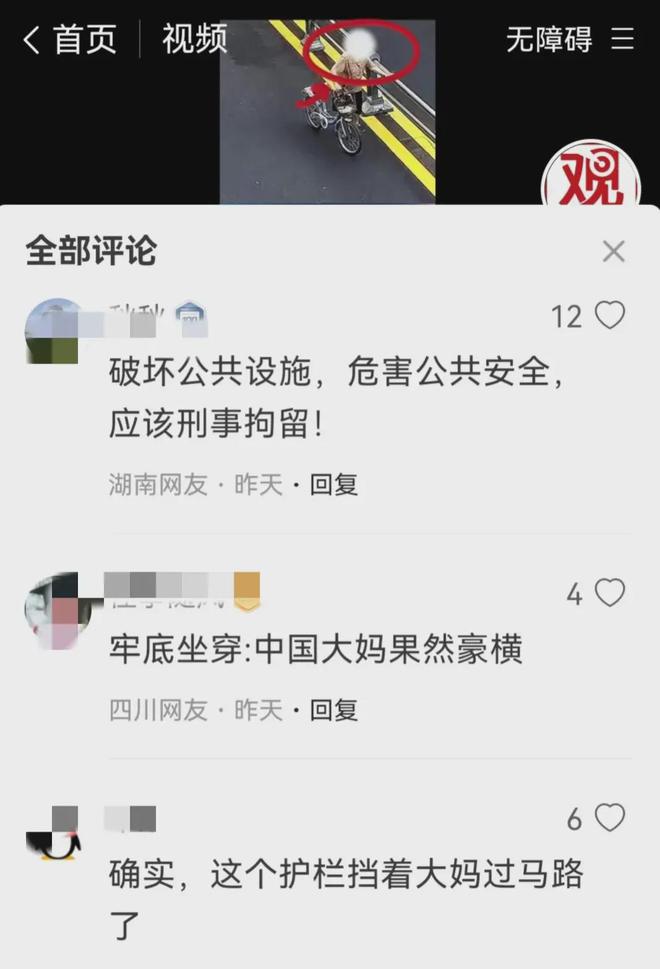 马路惊现‘大力士’大妈推倒护栏引热议安全与规则意识不容忽视(图9)