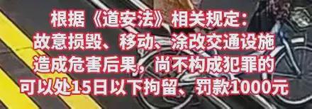 马路惊现‘大力士’大妈推倒护栏引热议安全与规则意识不容忽视(图7)