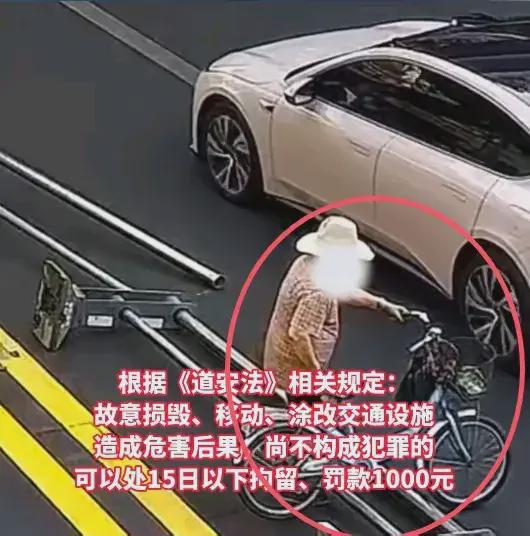马路惊现‘大力士’大妈推倒护栏引热议安全与规则意识不容忽视(图12)