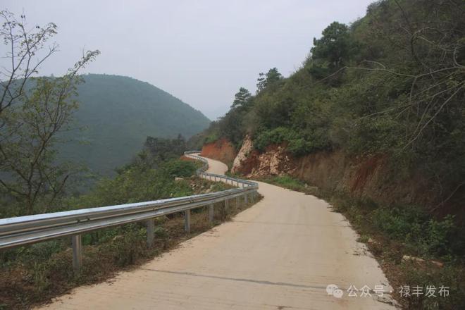 禄丰这条进村陡峭公路装了新防护栏啦(图5)
