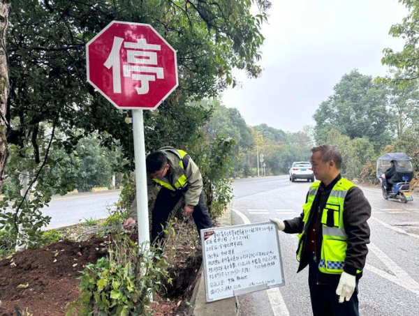 让好景好物一路“走”出来——平坝区绘就国省干线公路交通路网绿美“新画卷”(图2)