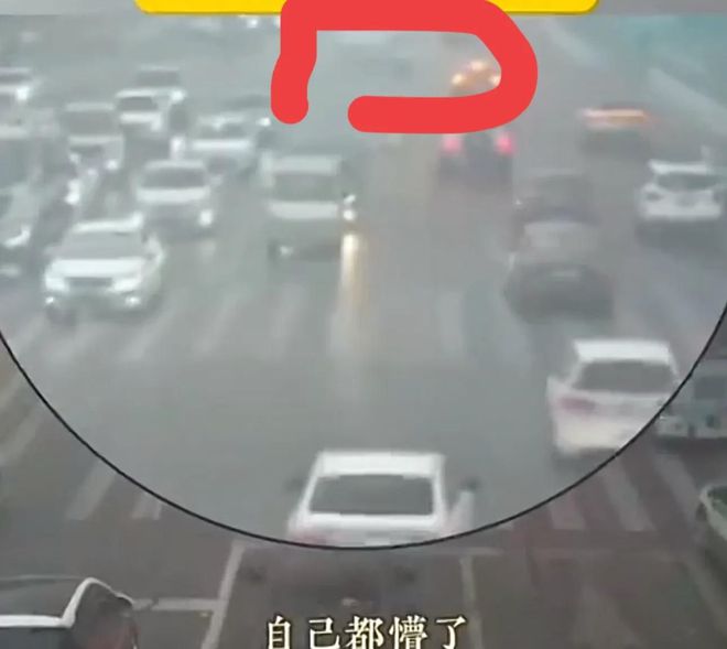 这下赔大大了！新手司机横跨4车道网友：这个可是3000元一米！(图4)