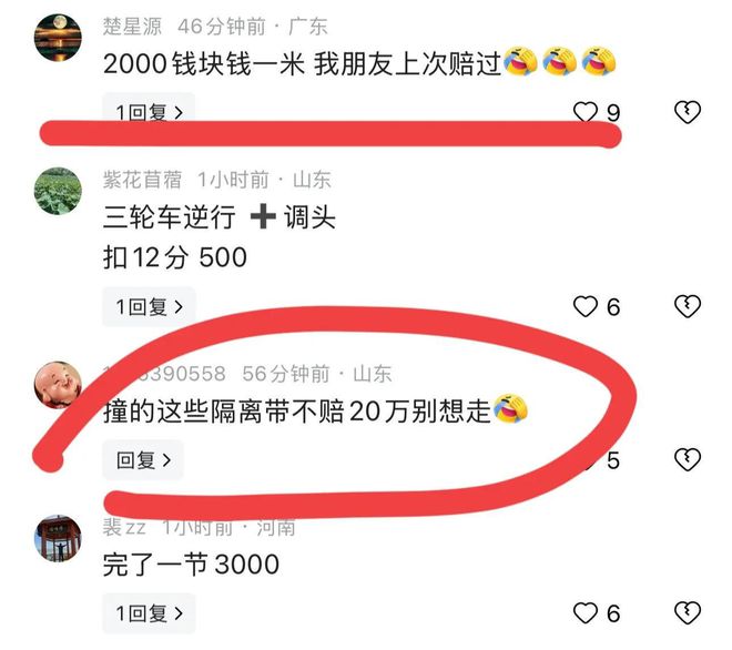 这下赔大大了！新手司机横跨4车道网友：这个可是3000元一米！(图6)